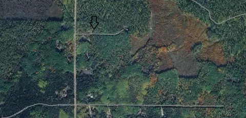 Finn Trail, Grayling, MI 49738 photo 13