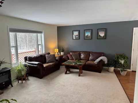 349 Poplar Dr, Pellston, MI 49769 photo 3