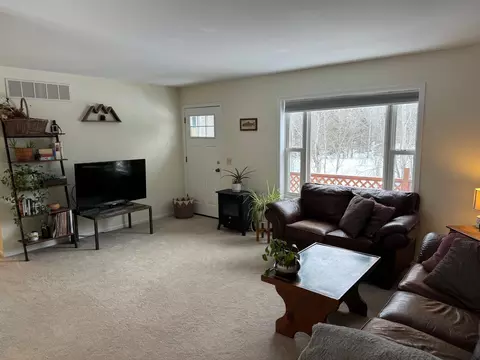 349 Poplar Dr, Pellston, MI 49769 photo 4