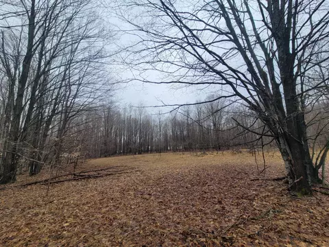 W Devereaux Lake Road, Indian River, MI 49749