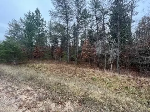 Ausable Ridge, Roscommon, MI 48653