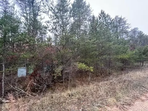 Ausable Ridge, Roscommon, MI 48653 photo 3