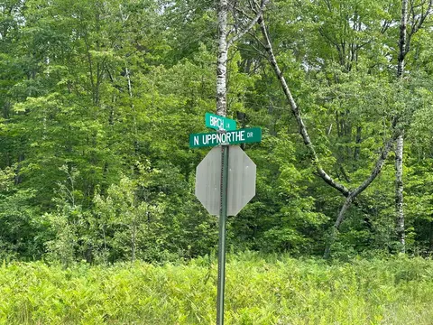 N Uppnorthe Drive, Frederic, MI 49733 photo 3