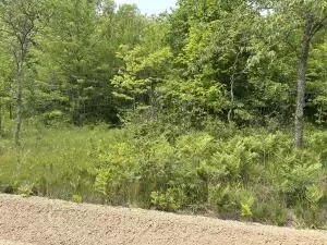 N Uppnorthe Drive, Frederic, MI 49733