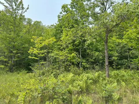 N Uppnorthe Drive, Frederic, MI 49733 photo 4