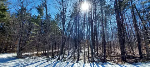 913 Softwood Trl, Frederic, MI 49733 photo 4