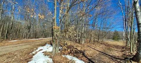 913 Softwood Trl, Frederic, MI 49733 photo 17