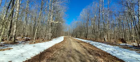 913 Softwood Trl, Frederic, MI 49733 photo 12