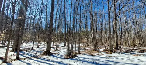 913 Softwood Trl, Frederic, MI 49733 photo 16