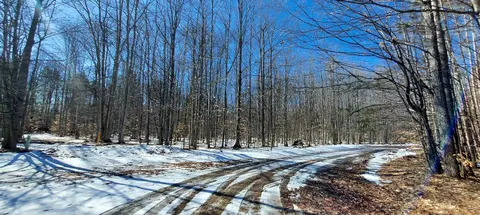 913 Softwood Trl, Frederic, MI 49733 photo 20