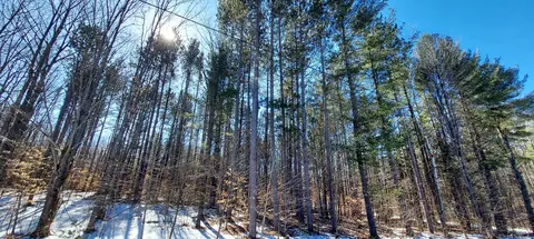 913 Softwood Trl, Frederic, MI 49733 photo 3