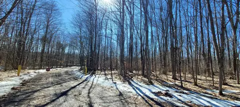 913 Softwood Trail Frederic Mi 49733 Trl, Frederic, MI 49733