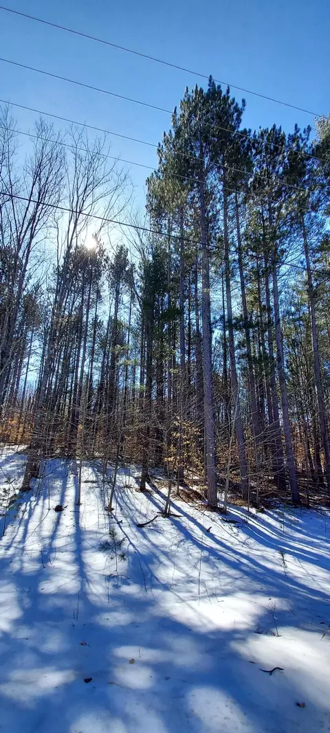 913 Softwood Trl, Frederic, MI 49733 photo 11