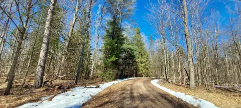 913 Softwood Trl, Frederic, MI 49733 photo 13
