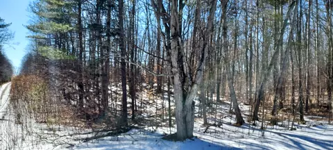 913 Softwood Trl, Frederic, MI 49733 photo 7