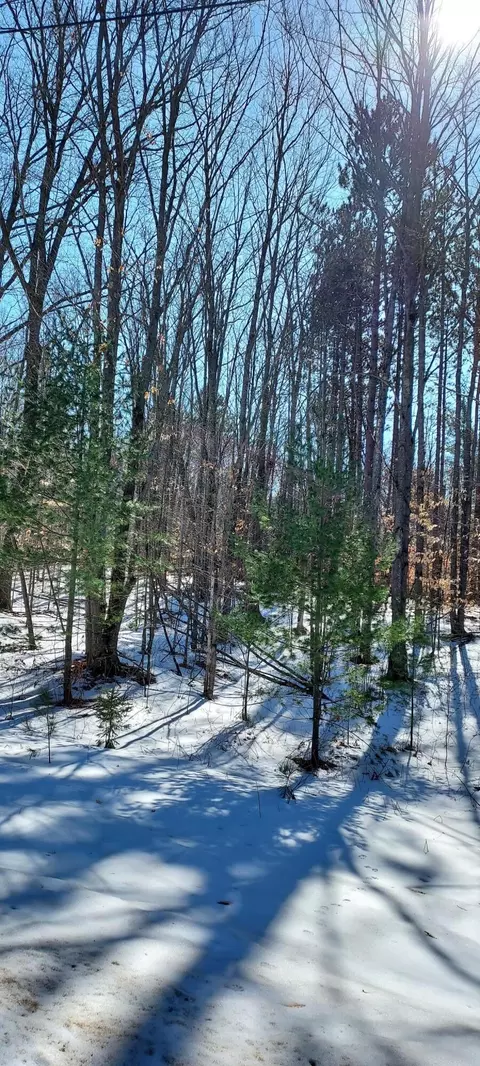 913 Softwood Trl, Frederic, MI 49733 photo 9