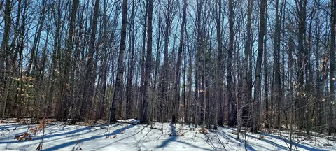 913 Softwood Trl, Frederic, MI 49733 photo 10
