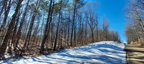 913 Softwood Trl, Frederic, MI 49733 photo 6