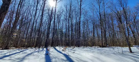 913 Softwood Trl, Frederic, MI 49733 photo 5