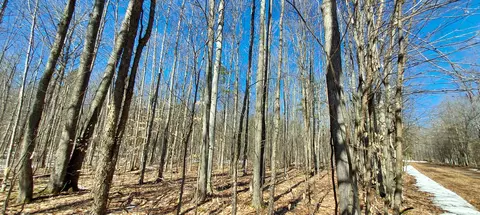 913 Softwood Trl, Frederic, MI 49733 photo 14