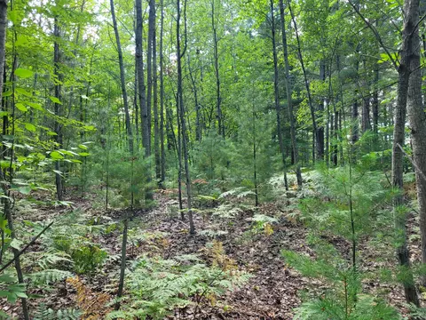 Nagashi Drive, East Jordan, MI 49727