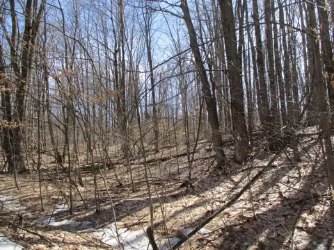 Hazelwood Lane, Frederic, MI 49733 photo 3