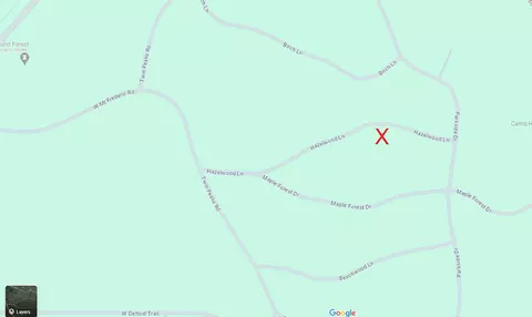 Hazelwood Lane, Frederic, MI 49733 photo 2