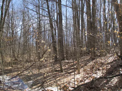 Hazelwood Lane, Frederic, MI 49733 photo 7
