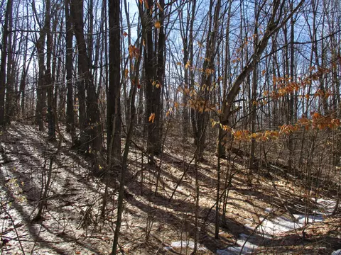 Hazelwood Lane, Frederic, MI 49733