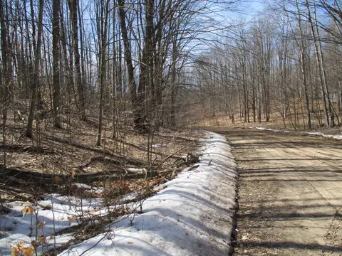 Hazelwood Lane, Frederic, MI 49733 photo 6