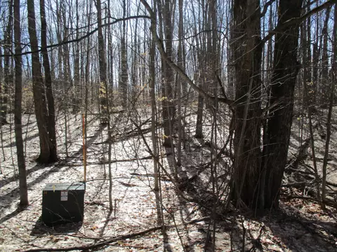 Hazelwood Lane, Frederic, MI 49733 photo 8