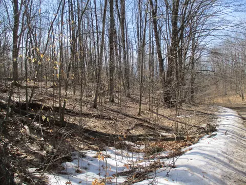 Hazelwood Lane, Frederic, MI 49733 photo 5