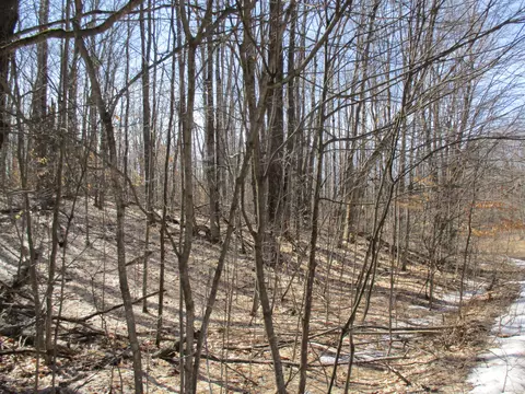 Hazelwood Lane, Frederic, MI 49733 photo 9