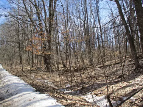 Hazelwood Lane, Frederic, MI 49733 photo 4