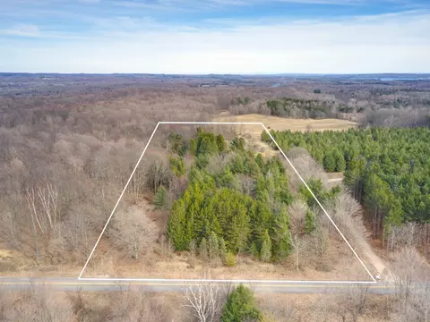 Maxey Road, Arcadia, MI 49613 photo 7