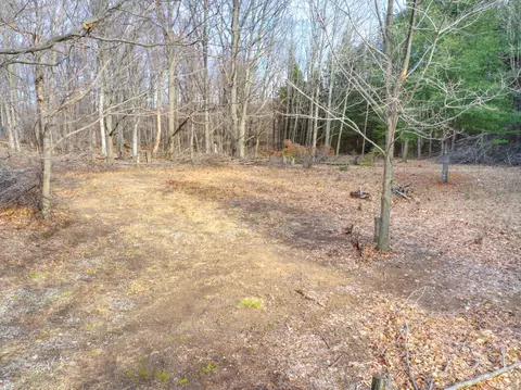 Maxey Road, Arcadia, MI 49613 photo 12