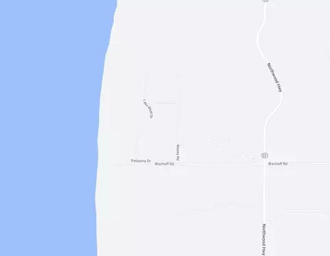 Maxey Road, Arcadia, MI 49613 photo 2