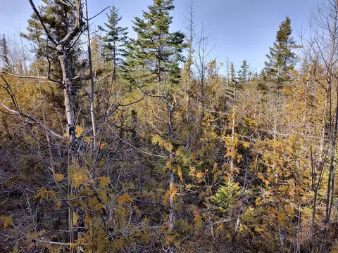 lot12 Karol Street Presque Isle Mi 49777 St, Presque Isle, MI 49777