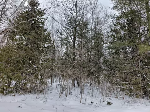 lot7 Fireside Highway 123-250-000-004-00 Presque Isle Mi 49777 Hwy #123-250-000-004-00, Presque Isle, MI 49777