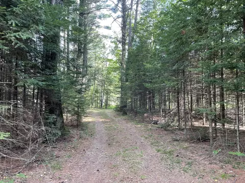 long rapids, Alpena, MI 49707