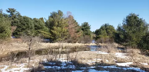 Little Canada Road, Cheboygan, MI 49721