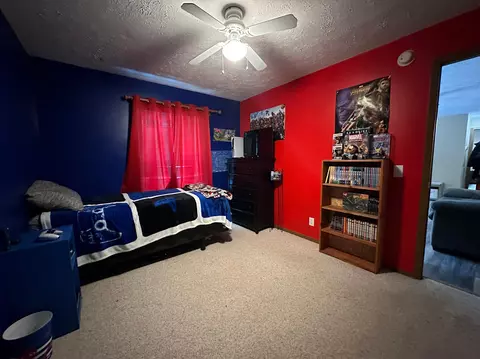 6687 Booty Rd, Alanson, MI 49706 photo 17