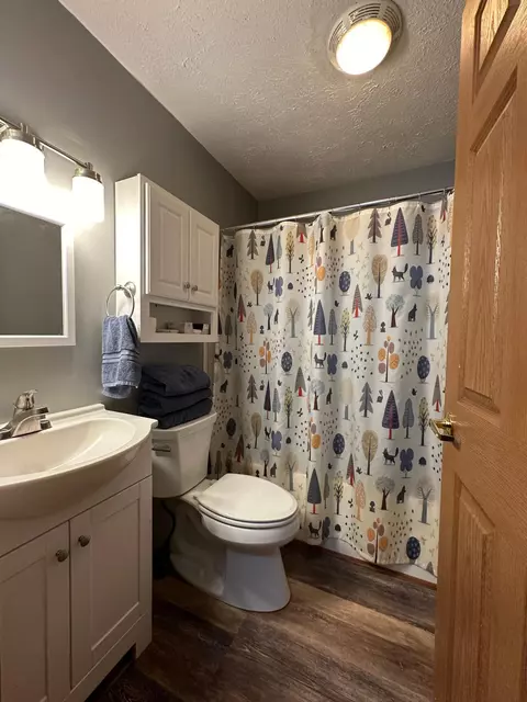 6687 Booty Rd, Alanson, MI 49706 photo 15