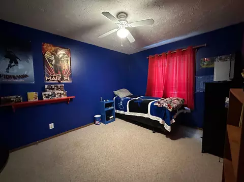 6687 Booty Rd, Alanson, MI 49706 photo 16