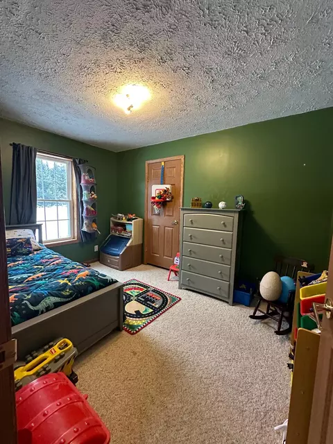 6687 Booty Rd, Alanson, MI 49706 photo 14