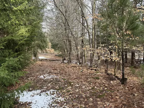 6687 Booty Rd, Alanson, MI 49706 photo 20