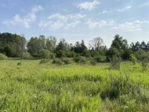 9000 Chase Bridge Road Roscommon Mi 48653 Rd, Roscommon, MI 48653