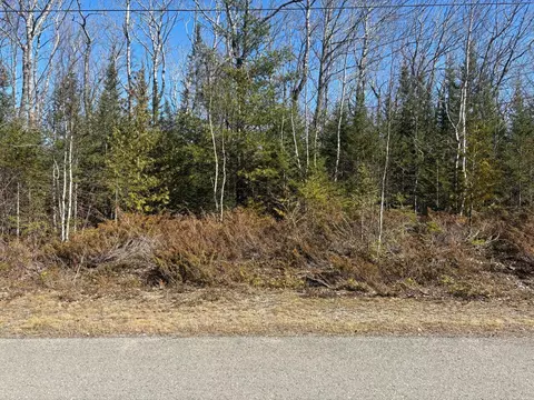 77 78 Renwick Cir, Presque Isle, MI 49777