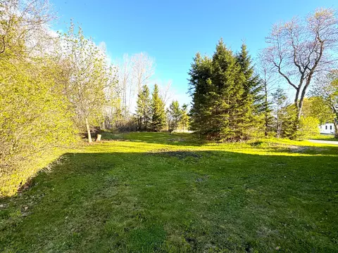 Exterior - 304 Young St, Cheboygan, MI 49721 photo 7 of 7