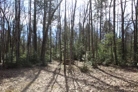 199 S Gerber Rd, Mio, MI 48647 photo 4